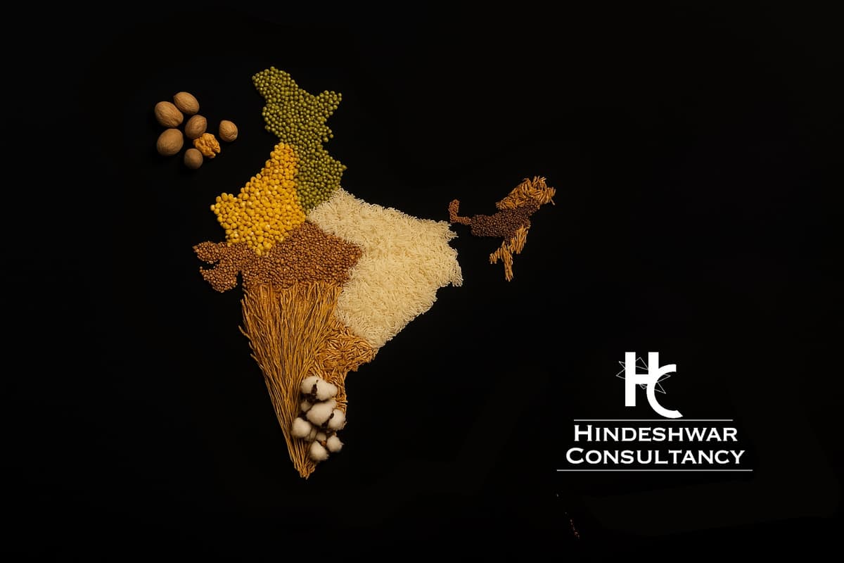 Team working collaboratively at Hindeshwar Consulting